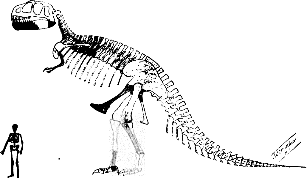 Evidence Shows That Tyrannosaurs Hunted in Packs