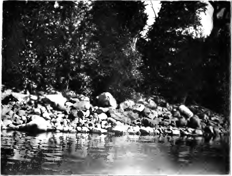 Child Skulls Offered As Gifts to the Gods of the Lake?