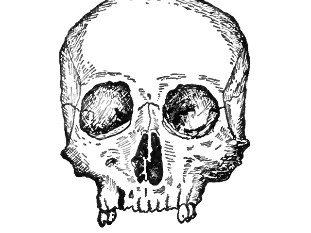 Archaeologists Discover an 8000 Year Old Skull in Norway