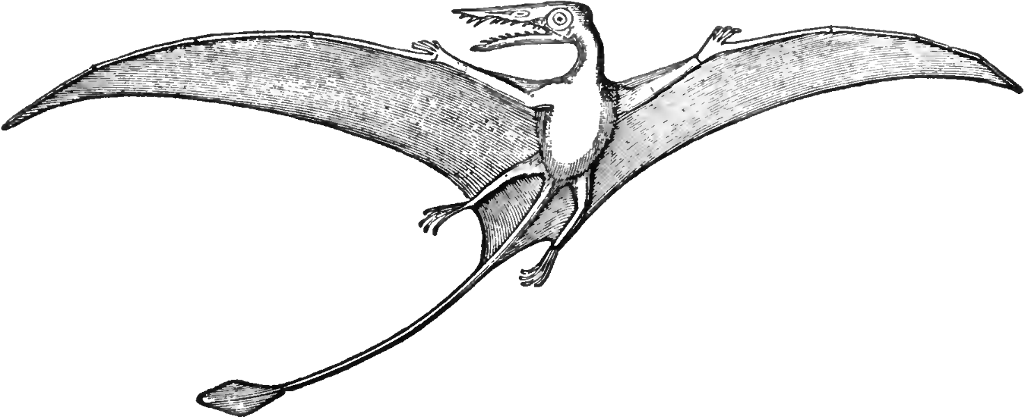 Flying Pterosaur