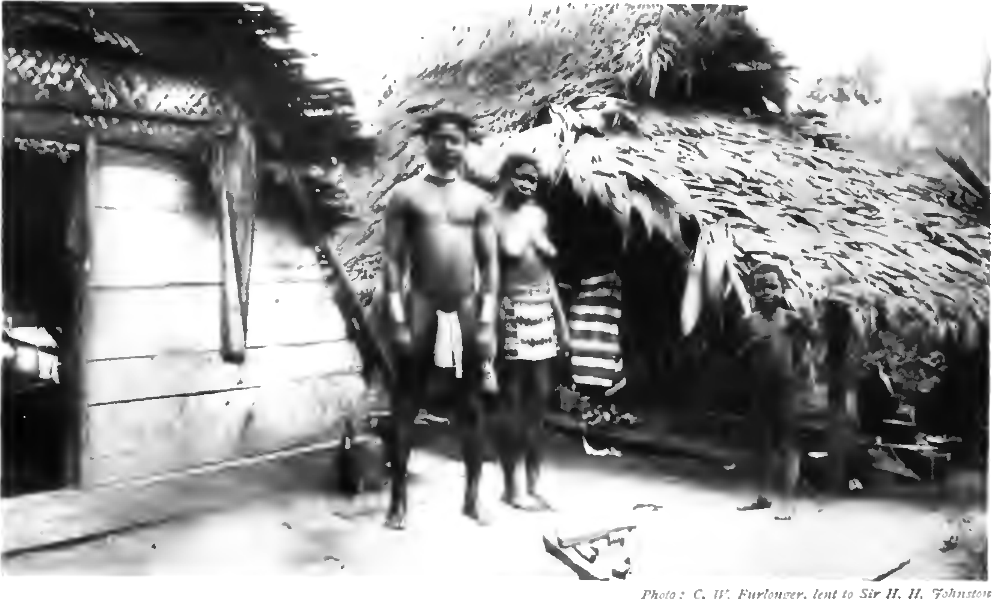 Polynesian Settlement
