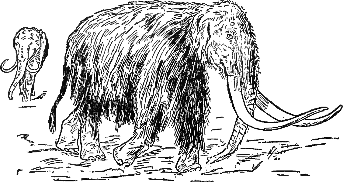Mammoths and Mastodons May Not Have Migrated
