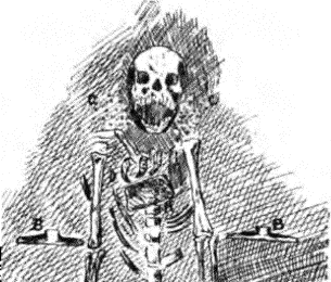 Human Skelaton