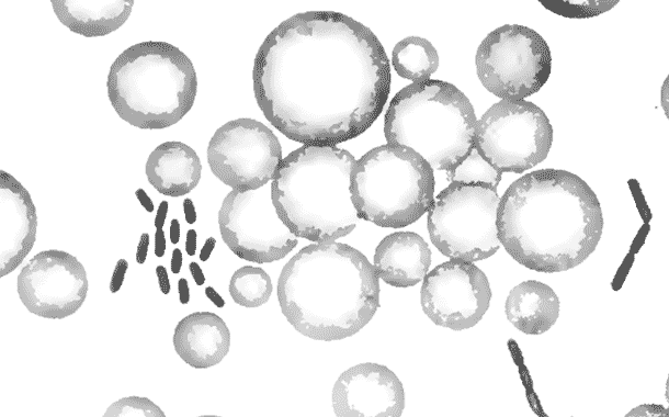 cells before Cambrian Explosion lived in colonies