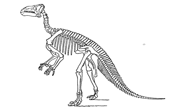 Two-Footed Dinosaur