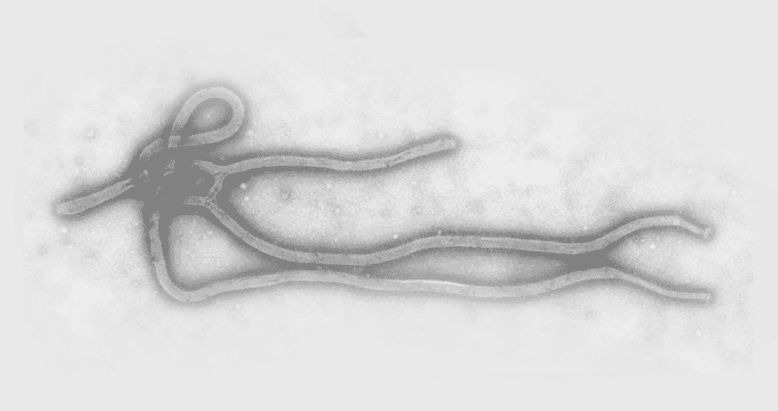 Ebola and a History of Understanding Epidemics