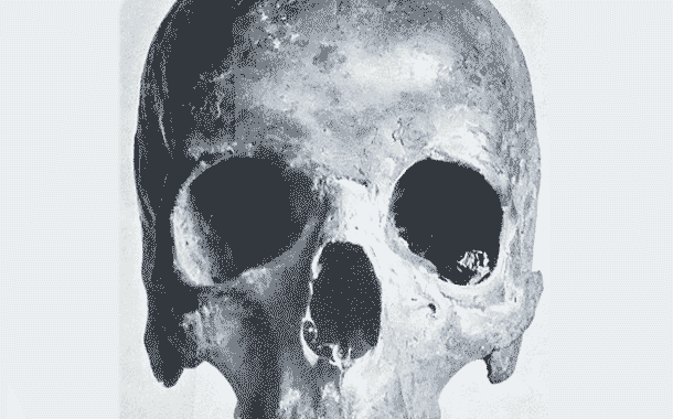 human skull