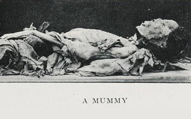 Ancient Mummy