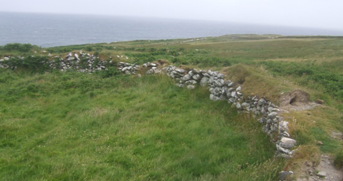 Ring Fort