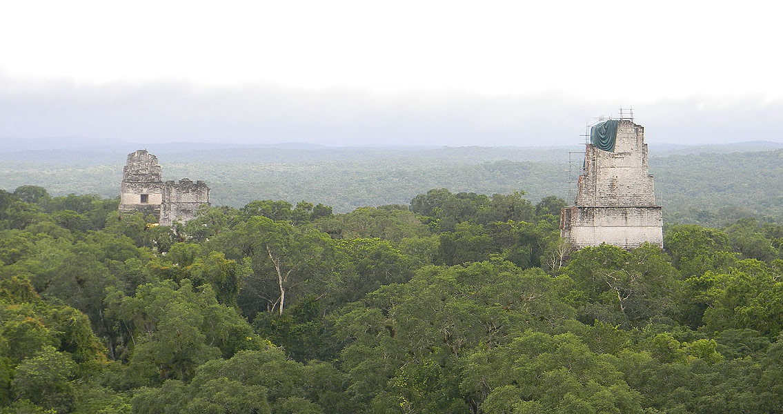 maya collapse A new study points to deforestation and climate change bustling mayan cities such as tikal, in present-day guatemala, were likely abandoned due to a combination of. maya collapse A new study points to deforestation and climate change bustling mayan cities such as tikal, in present-day guatemala, were likely abandoned due to a combination of.