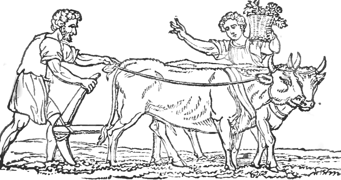 Roman Agriculture