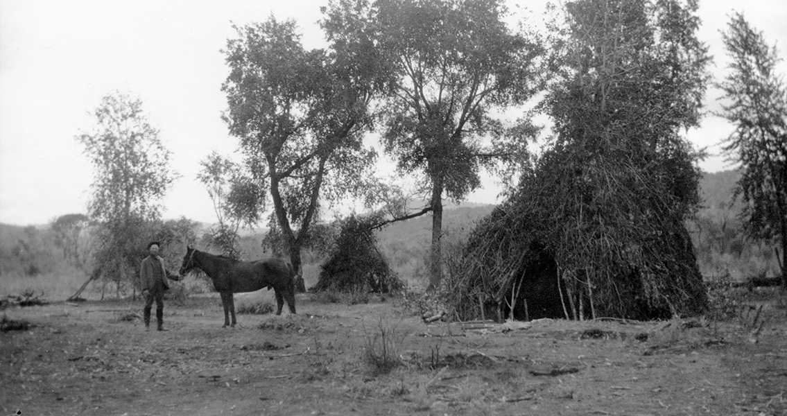 Ute Wickiups From the Nineteenth Century