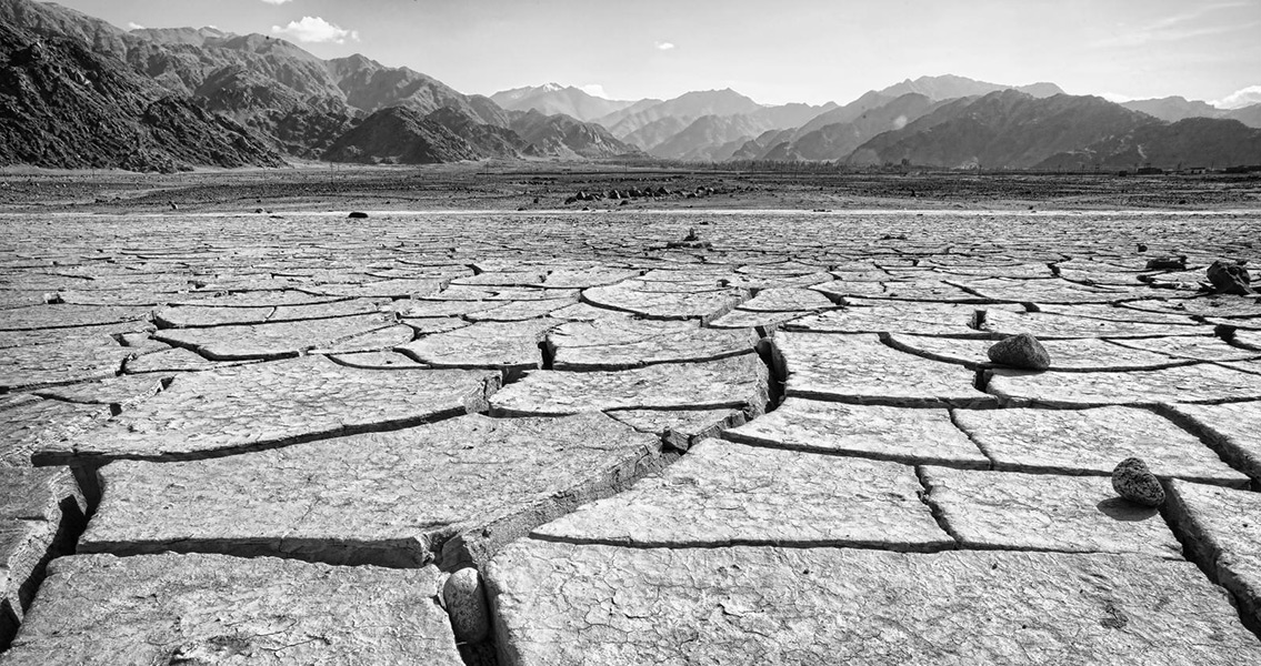 Cracked Earth in Drought