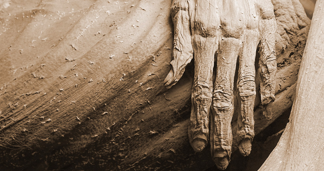 Guanajuato Mummy