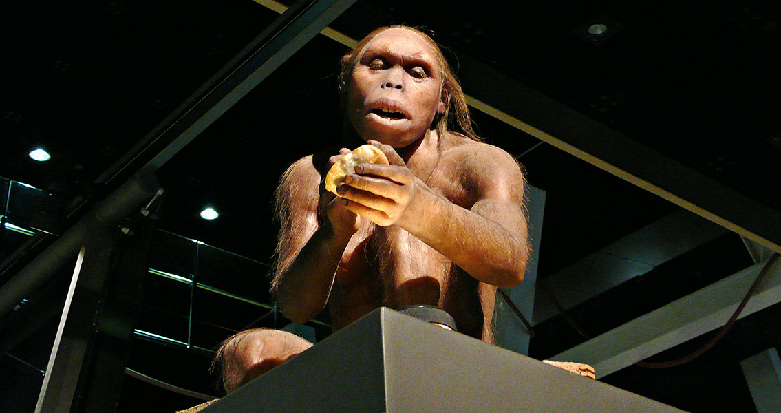 Hominid Diet was Surprisingly Varied