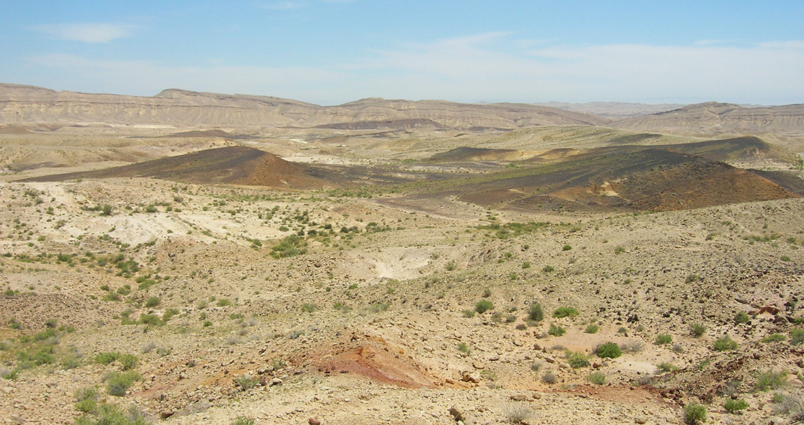 Negev Desert