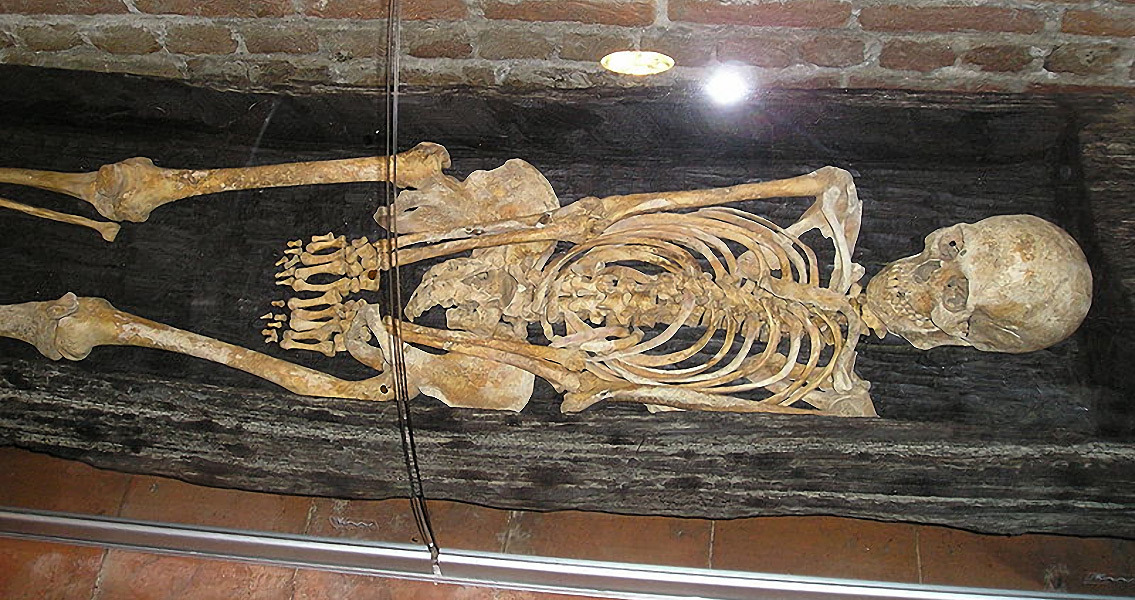 Human Skeleton