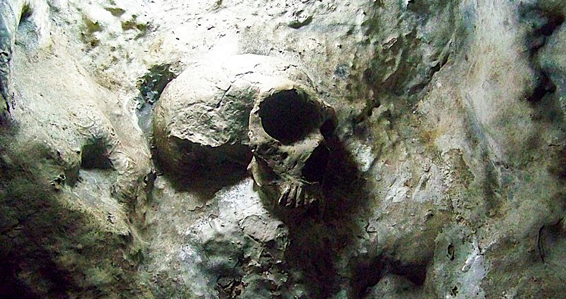 Neanderthal Skull