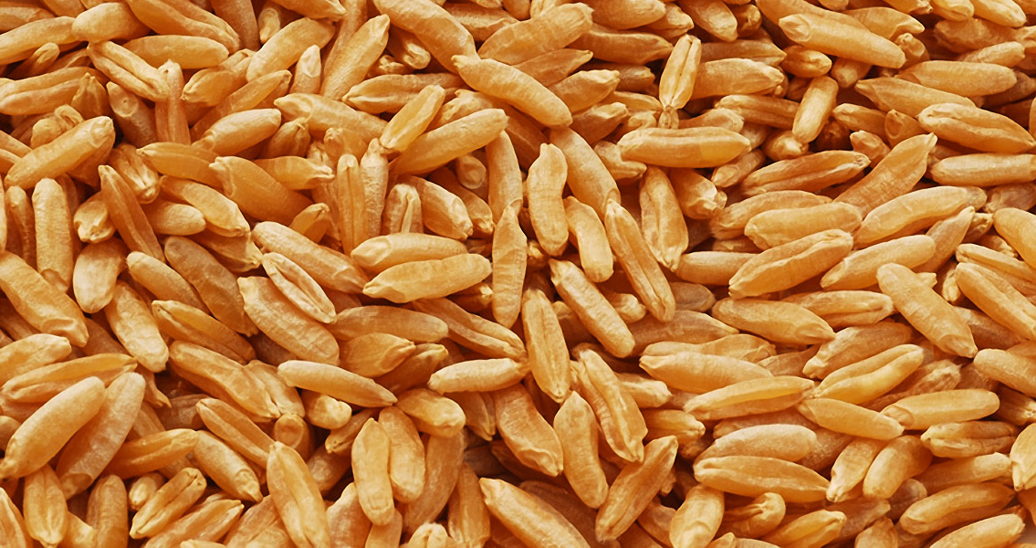 Wheat Seeds