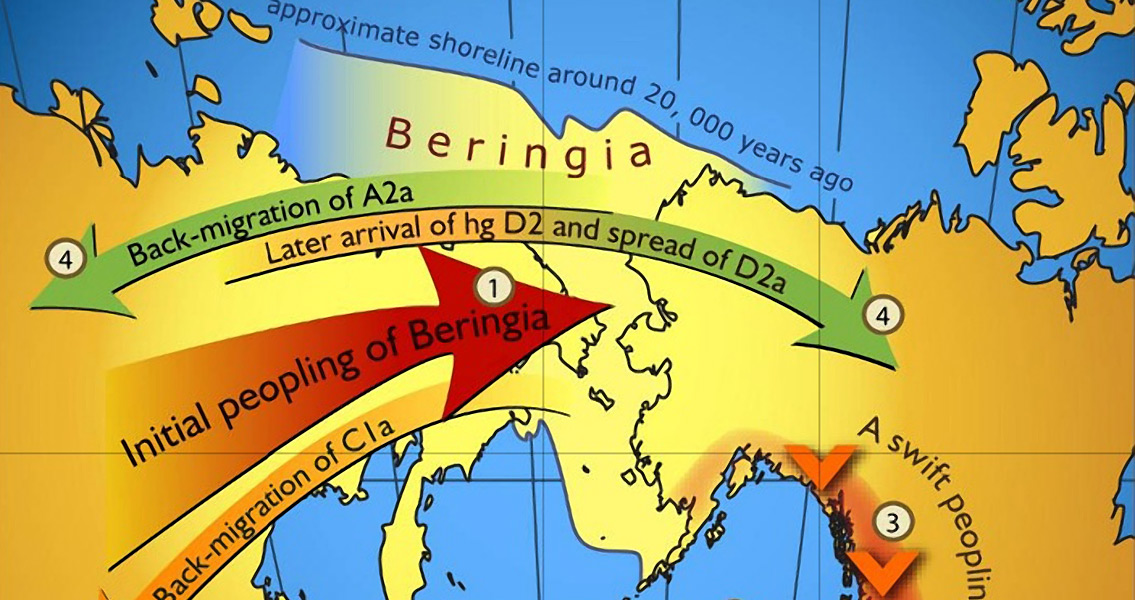 Map of Gene Flow Across Beringia