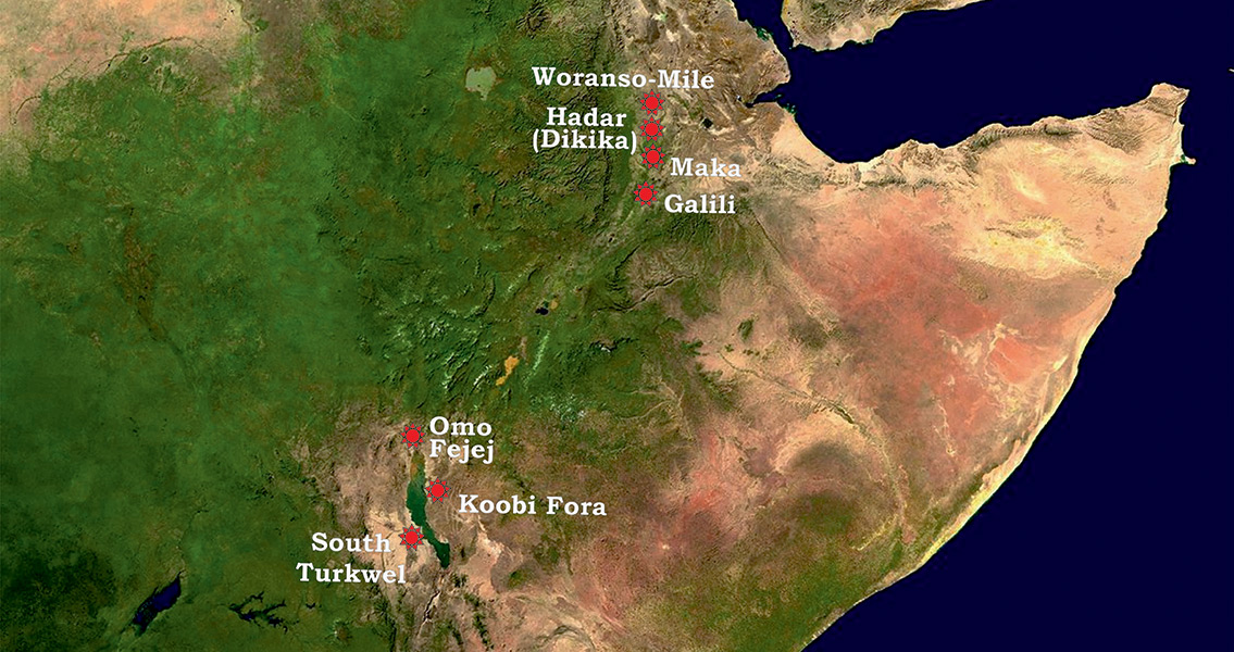 Australopithecus afarensis paleoanthropological sites in East Africa