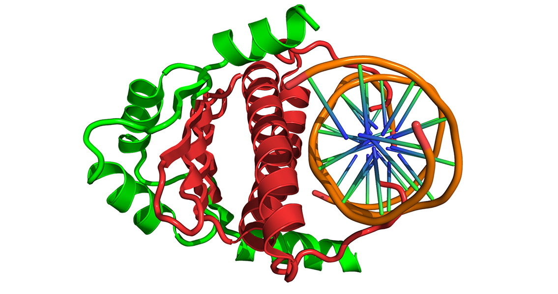 Epigenetics Provides Glimpse Into Ancient Lifestyles