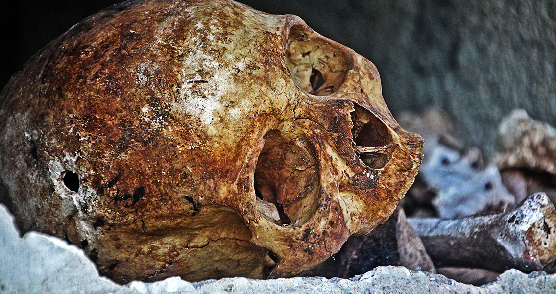 Skulls Suggest Violence Used as a Tool of Political Control