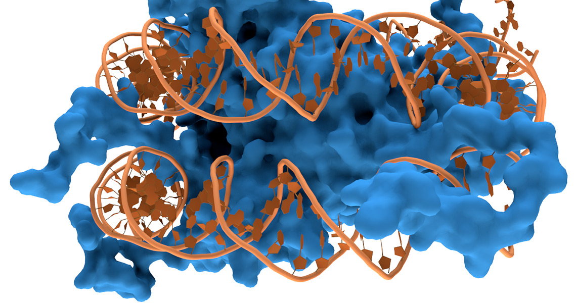 Nucleosome