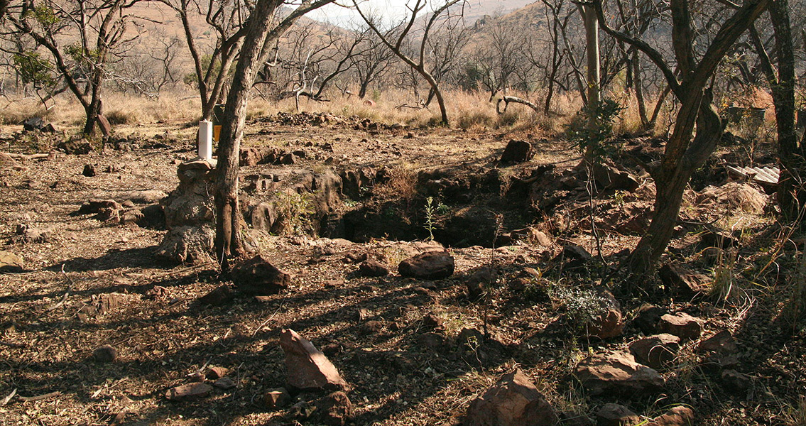 the excavation site in the Malapa national reserve
