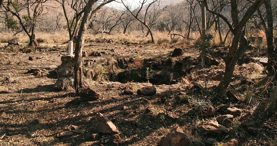 2-Million-Year-Old Skin Found in South Africa