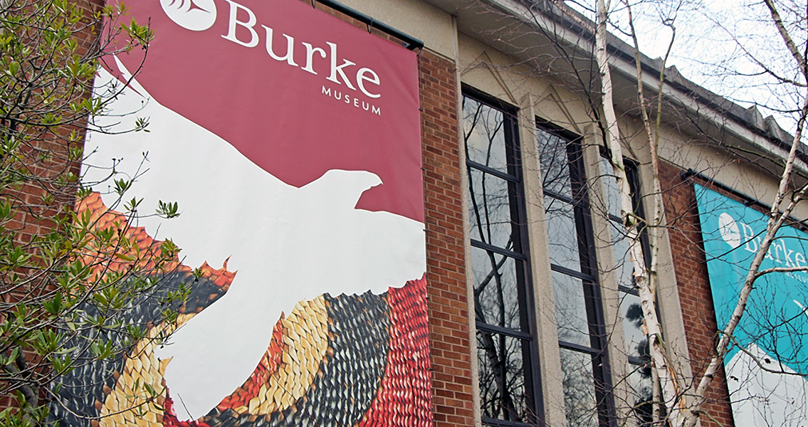 Burke Museum Exterior