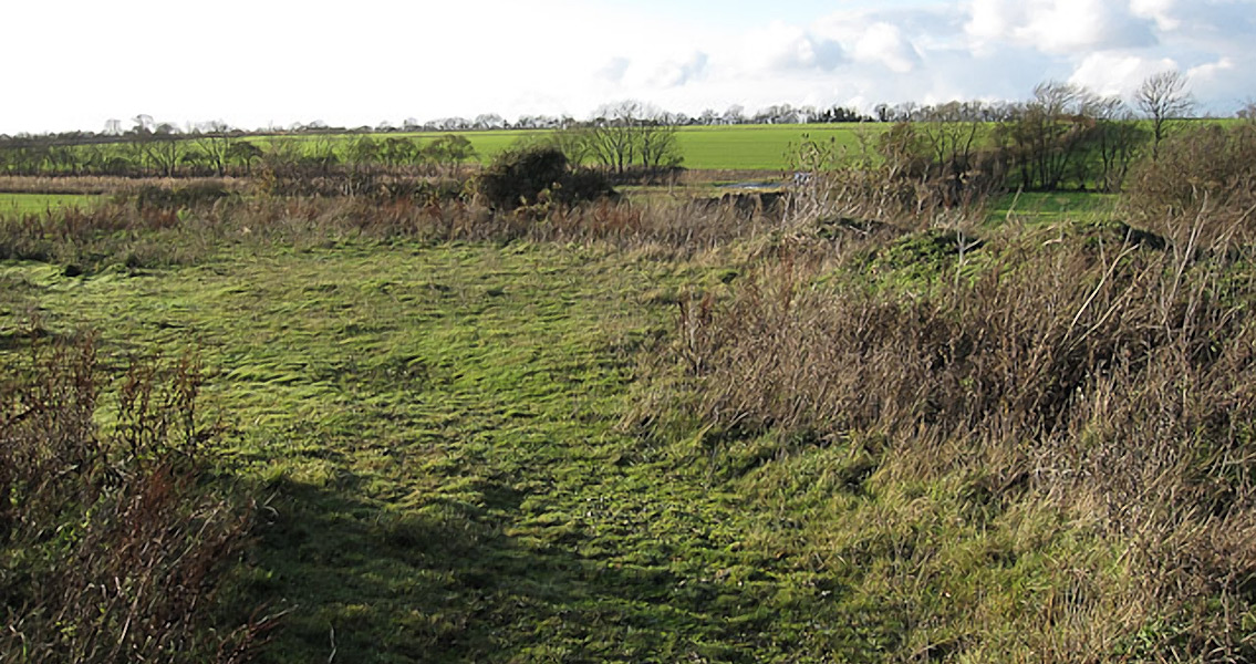 Cambridgeshire Landscape