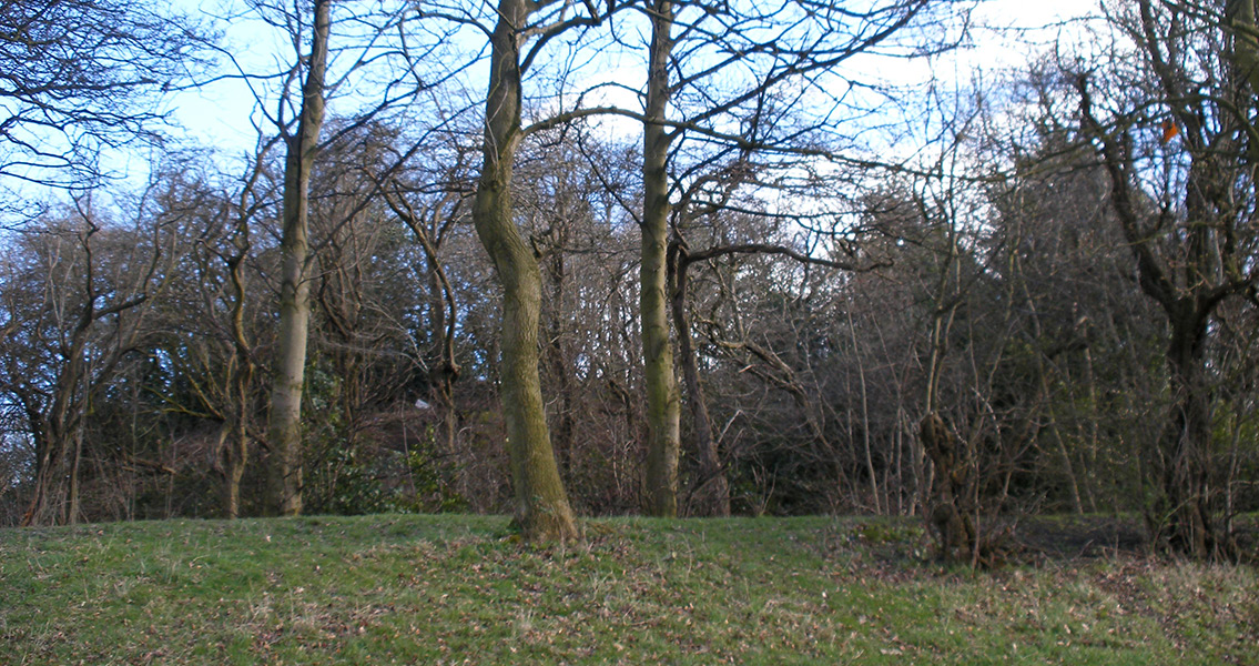 Earthwork and Motte and Lowe Hill