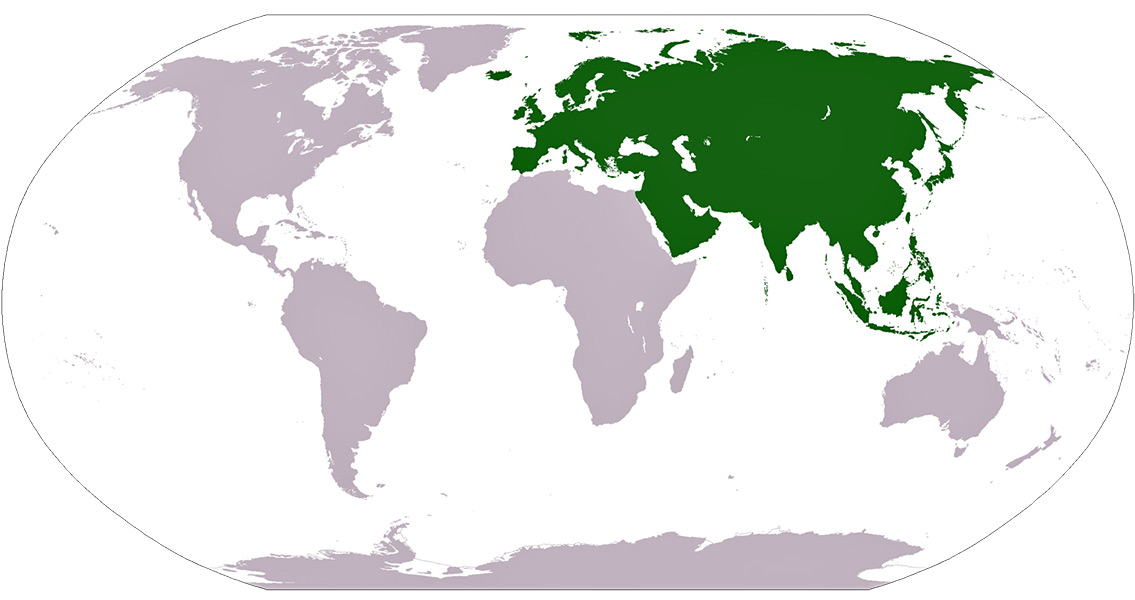 European and Asian Cultures Born From Mass Migration