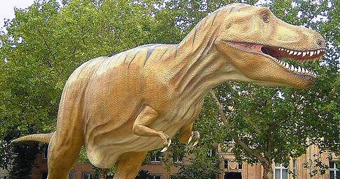 Dinosaurs Were Warm Blooded, Paleontologist Says