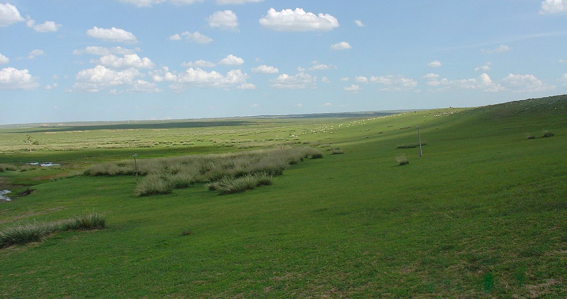 Inner Mongolia Landscape (2)