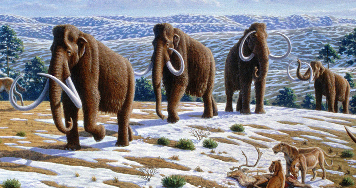 New Tool For Studying Extinct Animals