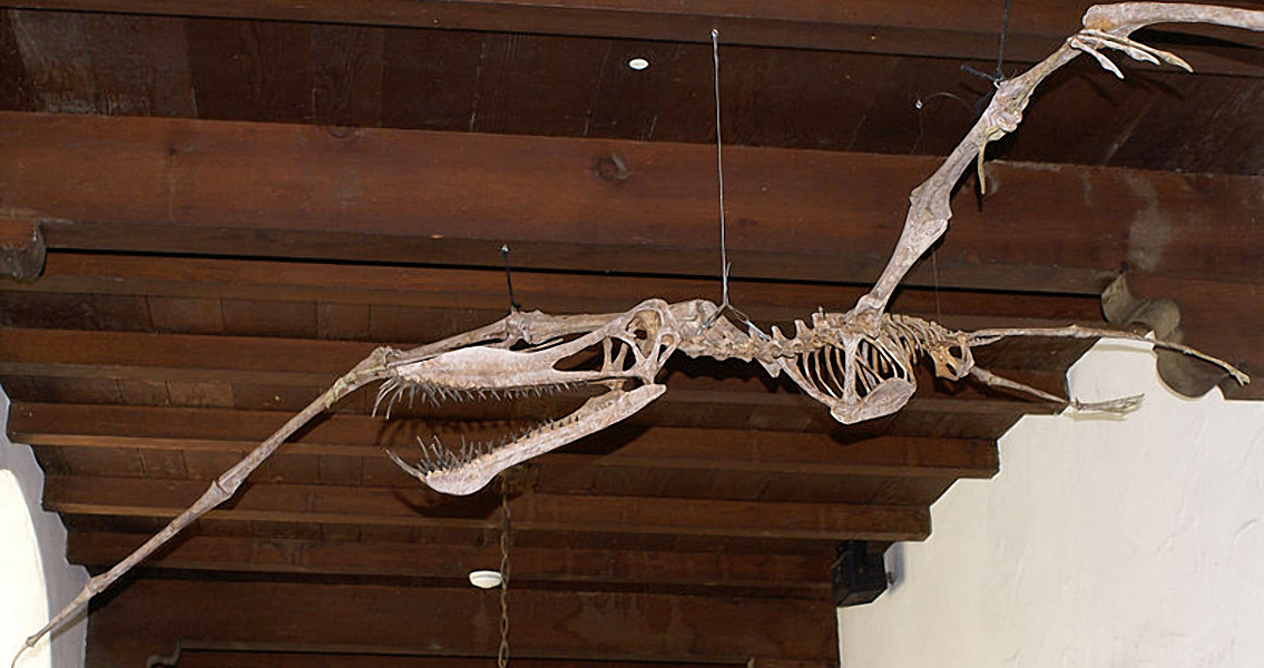 Black Rock Canyon Pterosaur Myth Debunked