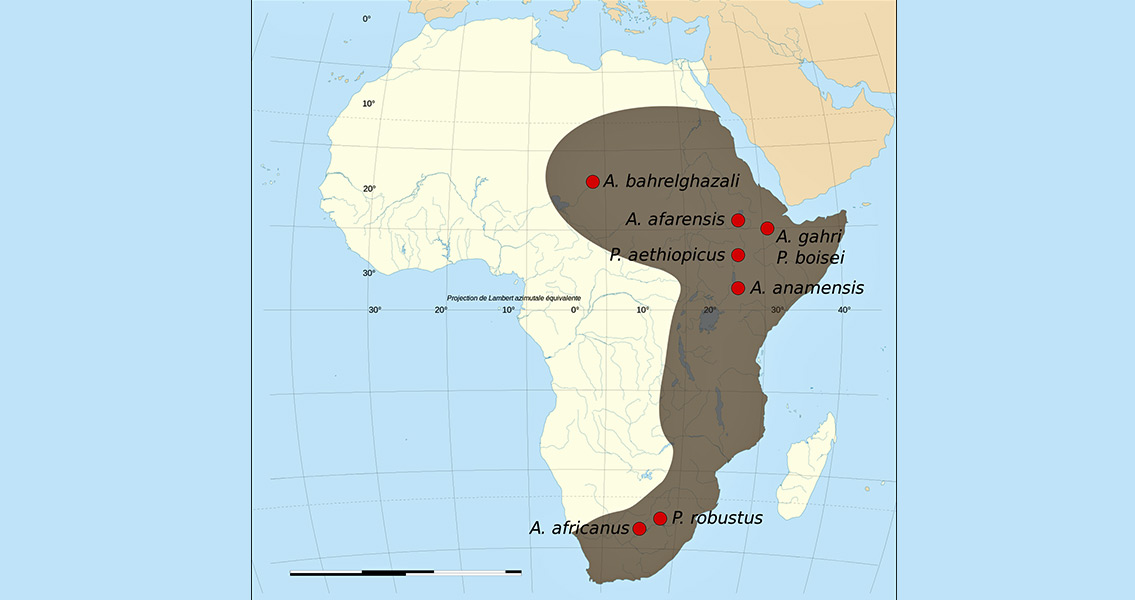 Map of the fossil sites of the early hominids