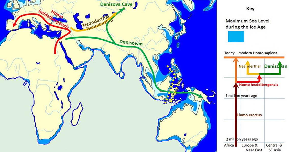 Spread and Evolution of Denisovans