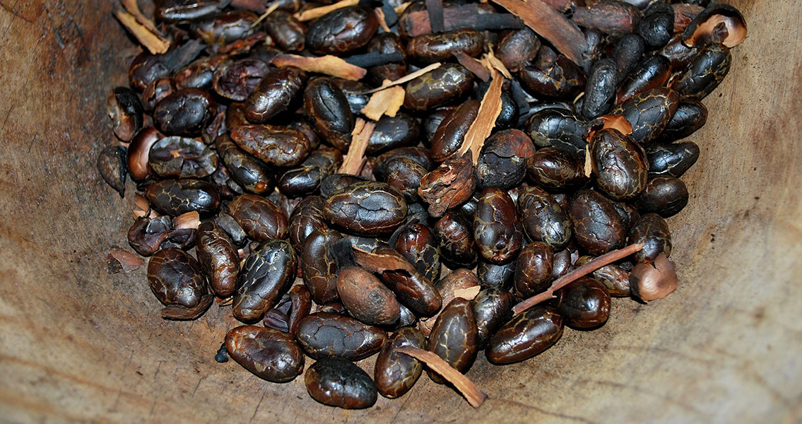 Cocoa Beans