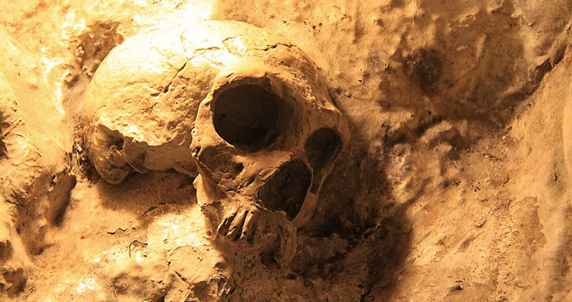 Replica of Neanderthal Skull in St. Michaeils Cave