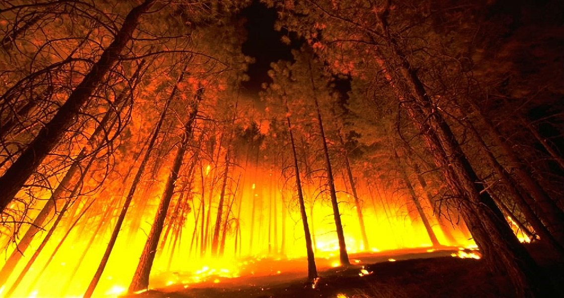 Historical Research Finds Wildfires Worsening Over Time