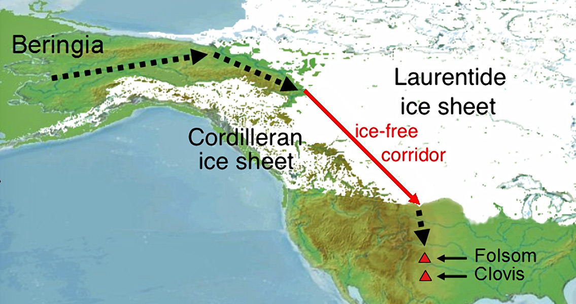 Berginia and Human migration