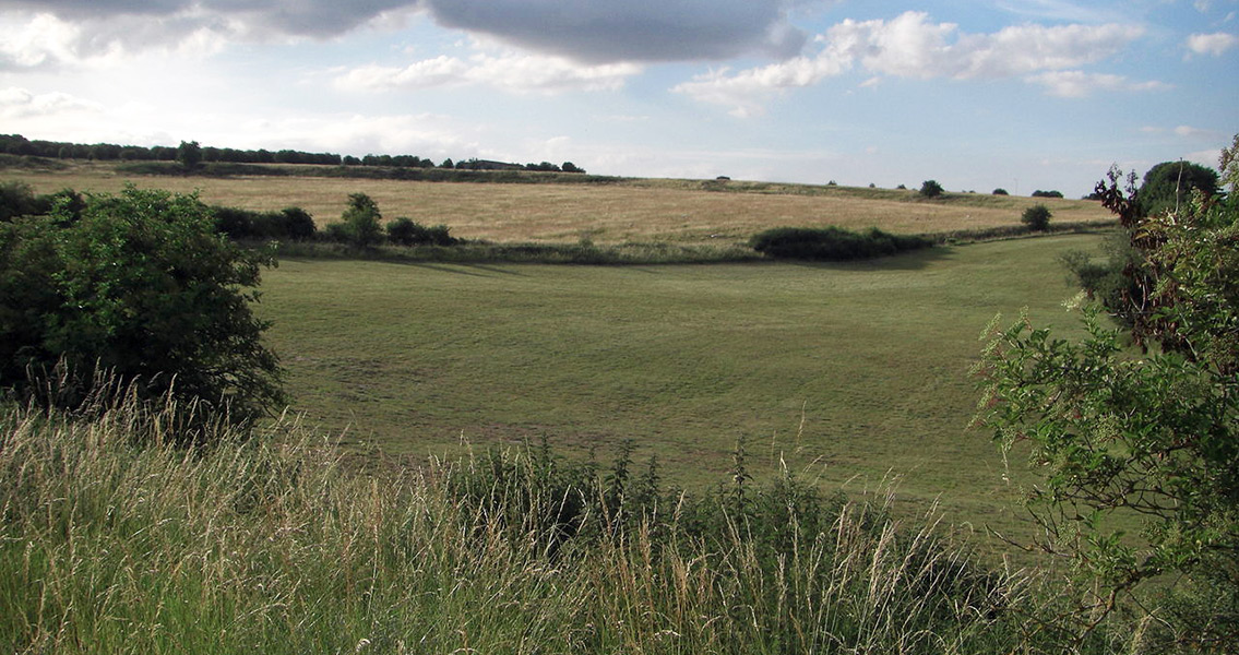 Stonehenge Builders Feasted on Meat and Dairy