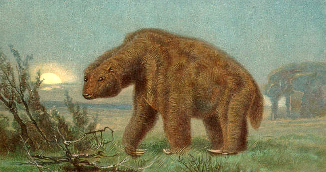 Megatherium