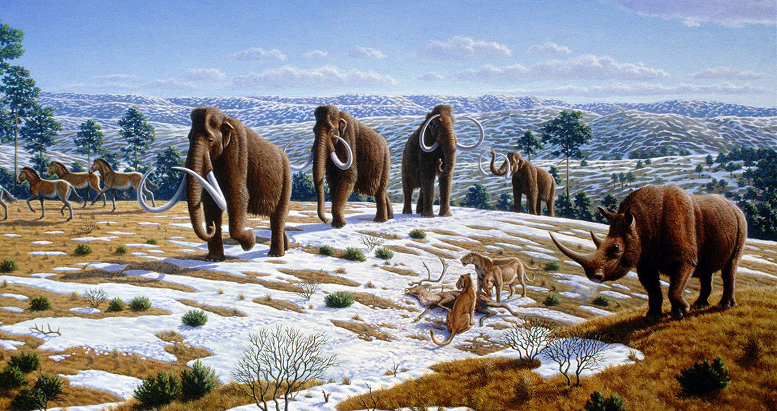 Painting of Mammoths