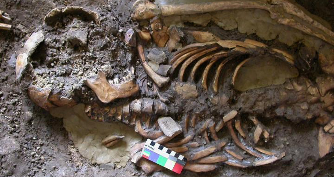 New Strand of European Ancestry Discovered