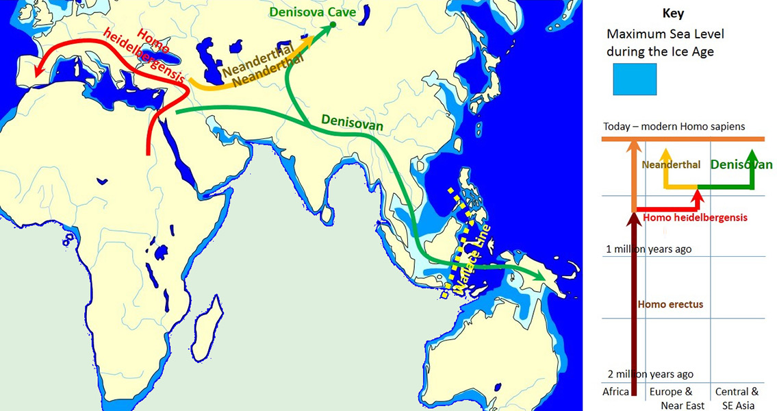 Denisovans More Genetically Diverse Than Neanderthals