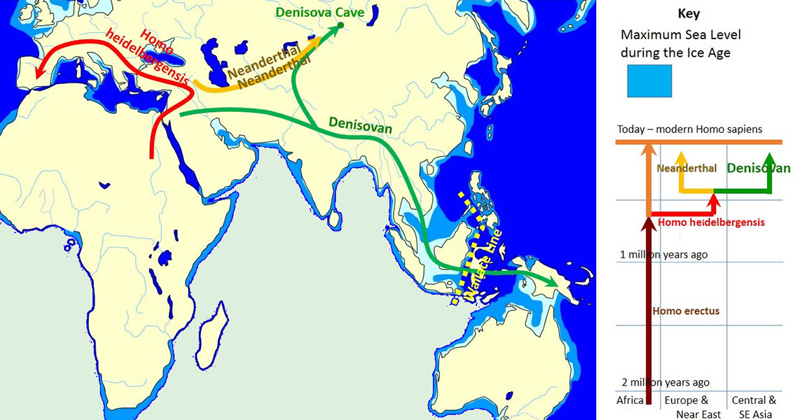 The spread and evolution of Denisovans